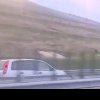 VIDEO: Șofer surprins în timp ce circula pe contrasens, pe autostrada A10 Alba Iulia – Aiud. Poliția îl caută