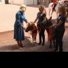 VIDEO. Soţia regelui Charles al III-lea, Camilla, i-a hrănit cu morcovi pe măgăruşul Alfie și poneiul LaLa, în curtea Palatului Buckingham