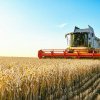 Anumite zone din România sunt afectate de secetă, dar 2024 va fi „un an agricol foarte bun”, spune ministrul Agriculturii