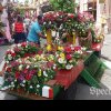 FlorAr 2024 – expoziție de flori în Piața „Avram Iancu“