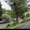 Primăria Arad, obligată de instanță să renunțe la ideea unui parc la UTA pe un teren care nu-i aparține