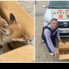 Pui de vulpe găsit în curtea unui imobil din Arad, salvat de polițiști