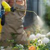 Angajații S.Ed.C Mioveni aplică tratamente fitosanitare la trandafiri și arbuști ornamentali