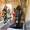 Cal, salvat de pompieri, după ce a căzut într-un beci adânc de aproximativ 3 metri, în Dâmbovița