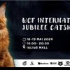 100 de pisici din rase deosebite vor participa în acest weekend, în Iulius Mall Cluj, la ediția jubiliară a WCF International Cat Show