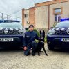 Danko, noul partener canin al jandarmilor din Tulcea (FOTO)
