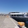 Escala in portul Constanta pentru pasagerii navei Vivaldi (FOTO)