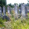 Primaria Mangalia, achizitie ce vizeaza proiectul de infiintare a cimitirului musulman
