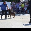 Show de dresaj canin de exceptie in Piata Civica din municipiul Tulcea