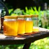 România, pe locul 3 în topul exportatorilor de miere din UE în 2023