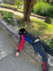 Un tânăr drogat, semi-leșinat, depistat de polițiștii locali pe marginea Podului Traian din Timișoara