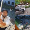 VIDEO. Imagini incredibile cu o familie din Timișoara terorizată cu bâtele de clanuri, transmise primăriei