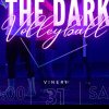 Ediția a II-a a turneului de volei – “Glow in the dark VOLLEYBALL”