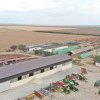 Cooperativele agricole din România ­şi-au dublat cifra de afaceri, în ultimii ani