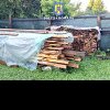 Zeci de metri cubi de material lemnos – ­confiscat în urma unor controale ale ­poliţiştilor de la Protecţia Fondului Forestier