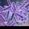 EXPERȚII AVERTIZEAZĂ Pandemia de Covid-19, o floare la ureche comparativ cu superbacteriile rezistente