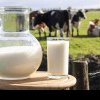 NEMULȚUMIRILE FERMIERILOR O nouă lovitură pentru crescătorii de vaci: prețul laptelui scade din nou