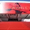 NOMINALIZARE O româncă este nominalizată la Festivalul de la Cannes