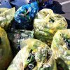 Câți bani câștigă zilnic un român care strânge ambalaje pentru reciclare. Într-o lună obține venituri mai mari decât mulți angajați din România