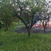 Cluj: O cabană a fost curprinsă de flăcări în Dâmbul Rotund! Trei autospeciale intervin la fața locului