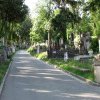 Clujenii se plâng de condițiile de la Cimitirul Central: ,,Este inacceptabil să plătim o asemenea taxă și să nu primim nimic în schimb