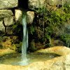 Izvorul cu „apă vie” din Munții Apuseni. Legenda spune că toţi cei care beau din apa lui cresc în înălțime/E și o oază de liniște și relaxare