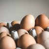 Ouăle din care nu se poate face maioneză sub nicio formă. Medic: ,,Este complet interzis! Dau o toxiinfecție groaznică”