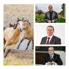 Replici savuroase între Boc și PSD: Boc: ”Nu schimbi calul când urci dealul”/PSD: ”Trebuie să schimbăm mai mulți cai, că sunt mârțoage!