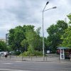 Turist clujean, în vizită la Capitală: „O fi Clujul „fruncea”, dar Bucureștiul e mult mai VERDE! Așa arată niște străzi verzi” - FOTO