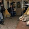 Adaptarea uimitoare a câinilor vagabonzi din Moscova. Merg cu metroul în fiecare zi