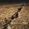 Japonia: Un puternic seism cu magnitudinea de 5,9 grade pe scara Richter a lovit centrul țării
