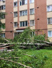 Furtună la Odorheiu Secuiesc. Un panou publicitar a căzut peste un om, 12 copaci s-au rupt