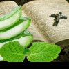 Cele 10 remedii naturale menționate în Biblie. Ghidul plantelor miraculoase pentru sănătatea și binele tău