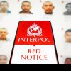 „Red Notice” - aplicația pentru fugari de la Interpol, sabotată de hackeri din Moldova, cu legături strânse în Rusia