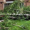 Bilanţul furtunii din Harghita: Mii de oameni din zeci de localităţi au rămas fără curent electric. Panou publicitar, căzut peste un bărbat