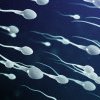 Ce este Spermageddon-ul? Controversa asupra declinului global al numărului de spermatozoizi se reîncinge