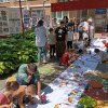Grădinița cu Program Prelungit Step by Step nr 12 Alba Iulia a desfăşurat primul festival dedicat învățării prin joc