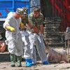 Focar de pestă porcină africană într-o fermă din Buzău. Mii de animale vor fi sacrificate
