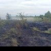 Focul a distrus un lan de grâu, în Argeș