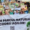 Protest cu mii de persoane la Iași. S-a cerut stoparea distrugerii pădurilor și a copacilor seculari din jurul municipiului