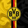 Borussia Dortmund, mesaj după finala Ligii Campionilor pierdută
