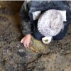 FOTO A fost descoperiă o nouă necropolă de mari dimensiuni în România: Este una dintre cele mai importante descoperiri din ultimii ani