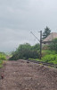 Furtuna face ravagii: Doi copaci au căzut peste linia de cale ferată și o alee pietonală din Mureș