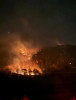 Incendii de pădure intense în Israel, izbucnite la scurt timp după tirurile de rachete şi drone din Liban