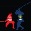 Incident violent între o echipă de campanie a PNL şi doi susţinători PSD