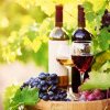 Preşedintele AREV: Europa are diferite varietăţi de vin şi cele mai comercializate vinuri