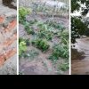 VIDEO. România, măturată de vijelii puternice și inundații: sute de case, fără curent, acoperișuri smulse, copaci doborâți la pământ