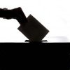 Alegeri locale 2024 Vacareni, Tulcea: Candidatii la primaria si consiliul local Vacareni (DOCUMENTE)