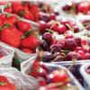 Autoritățile fitosanitare au declanșat operațiunea „Cireașa și Căpșuna”