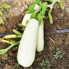 Cum se poate comanda un coș sănătos cu legume de la Grădina Stea